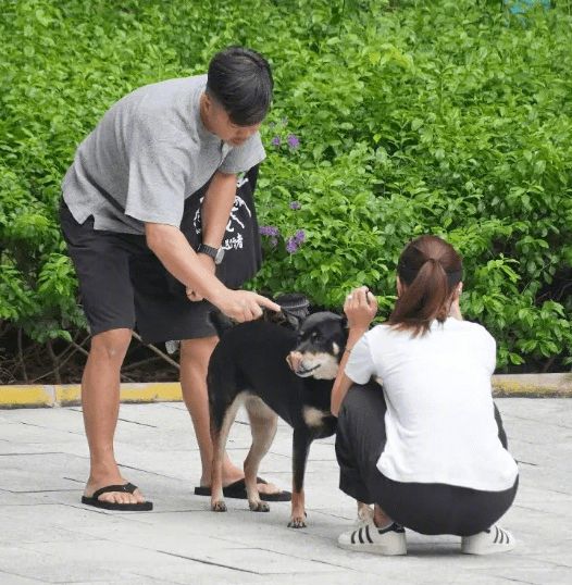 BG真人官方：马国明前女友黄心颖大婚？穿吊带拖尾婚纱甜笑老公泥鯭连飙情话(图3)