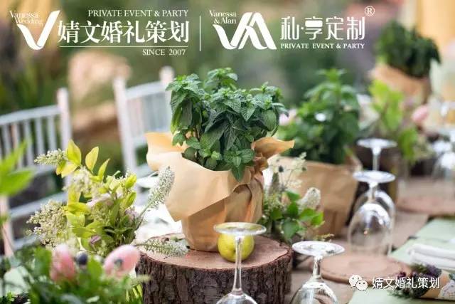 BG真人：VA开课啦｜婚礼策划师进阶课程(图1)